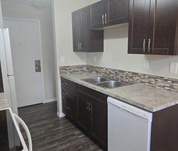 Modern Ground Floor 2 Bedroom in the Heart of Downtown - Photo 5