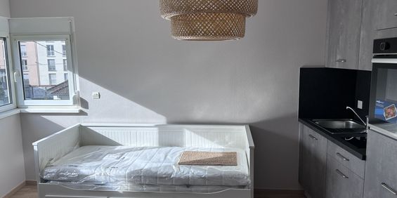 Location Appartement 1 pièce 22m² ILLZACH 68110 - Photo 3