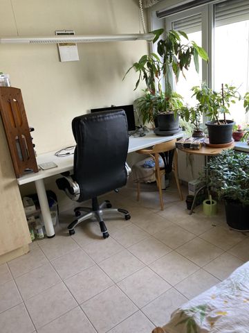 — Sint-Pie­ter­saalst­straat - Foto 5