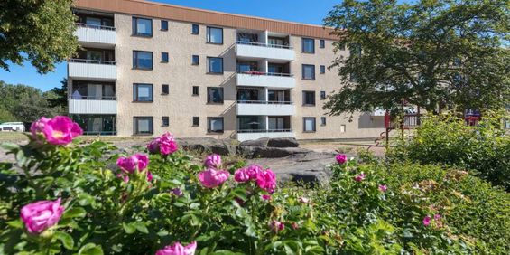 Vilbergsgatan 101 - Photo 3