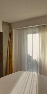 LUXUEUX 4 ½ MEUBLÉ AVEC TERRASSE PRIVATIVE SUR COUR - PLATEAU - Photo 3