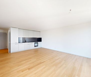 Moderne 3.5-Zimmer-Attikawohnung in Zürich-Oerlikon - Photo 4