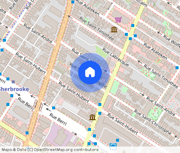 1 CH - 1 SDB - Montréal - $1,795 /mo - Photo 1