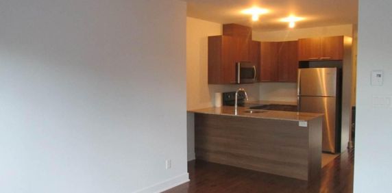 4 1/2 Plateau Mont Royal - Photo 2