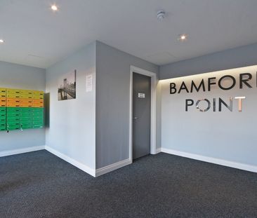 1 Bed Flat, Cuthbert Bank Road, S6 - Photo 6