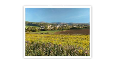 Charmante 2.5-Zimmer-Wohnung mit herrlicher Aussicht in Oberwil - Photo 5