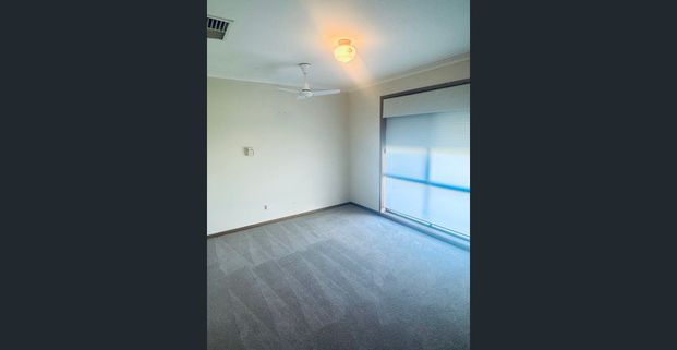 Spacious Family Living with Huge Shed & Renovated Kitchen - Photo 1