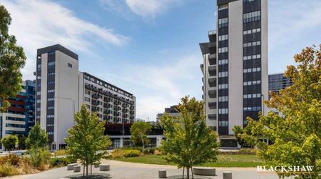 One Bedroom Apartment Moments Away From Woden Center - Photo 4