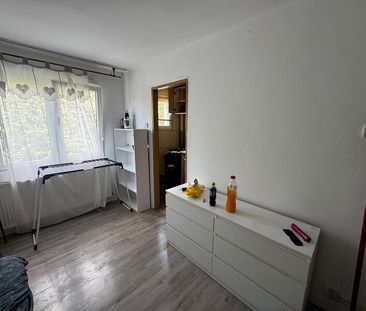 Drumul Taberei, Crinul de Padure, - Fotografie 3