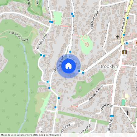 85 Todman Street, Brooklyn, Wellington City