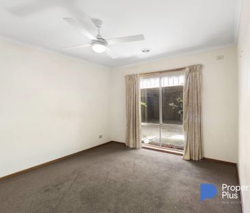 "Large and in charge" - Photo 1