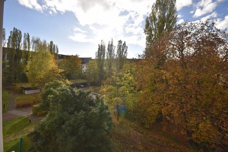 1-Raum Apartment • Laminat • Tageslichtbad mit Dusche • Stellplatz • Kaßberg • Anschauen & Mieten - Foto 3