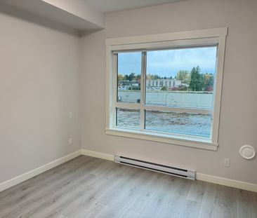 Brand New Junior Two Bedroom Condo - Photo 5