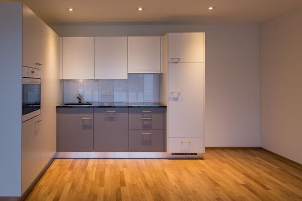 2.5 Zimmer, 53 m², 1. Stock - Foto 1