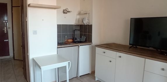 Location Appartement 1 pièce 22m² - Photo 2