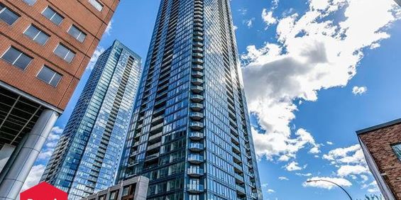 Appartement Ville-Marie (Montréal) À Louer - Photo 3