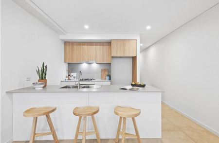 133 Bowden Street, Meadowbank NSW 2114 - Apartment For Rent | Domain - Photo 2