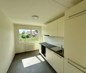 3.5 Zimmer, 70 m², 1. Stock - Photo 1