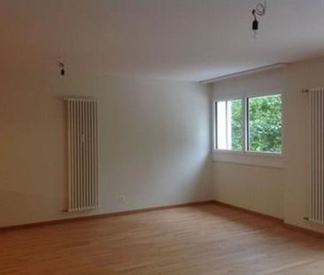 Appartement proche de toutes commodités - Foto 2