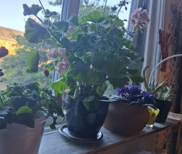 Kungsladugårdsgatan, Göteborg - Photo 2