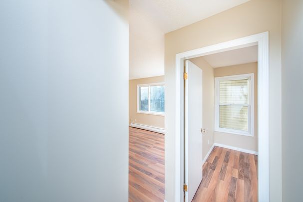 Alexander Apartments - Photo 1