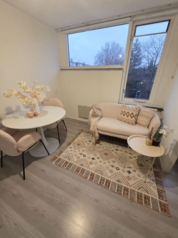 Landauerdrift 3436XG Nieuwegein - Foto 2