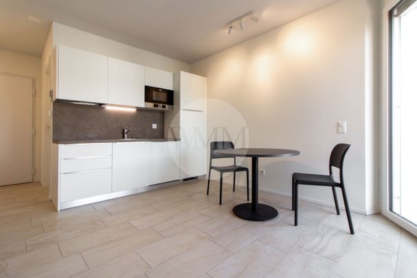 MODERNO MONOCALE ARREDATI A VIGANELLO - Foto 1