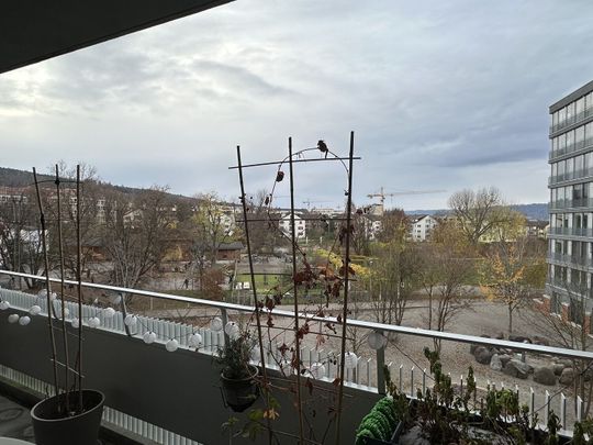 21/2 ZI-WOHNUNG À ZÜRICH - KREIS 9 ALBISRIEDEN, MEUBLÉ, TEMPORAIRE - Foto 1