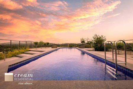 204/241 Northbourne Avenue, Lyneham ACT 2602 - House For Rent | Domain - Photo 2