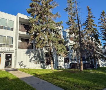 Sunview Manor Apartments - Photo 4