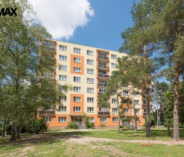 Pronájem bytu 2+1 v osobním vlastnictví 60 m², Plzeň - Fotografie 4