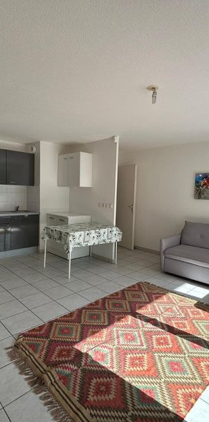 Location Appartement 2 pièces 50m² ANNEMASSE 74100 - Photo 1