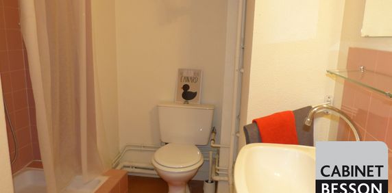 Location Appartement 1 pièce 17m² GRENOBLE 38000 - Photo 2