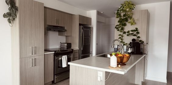 4 1/2 + Bureau à Louer - 1er Aout 2026 - Photo 3