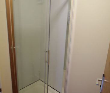 4 bedroom house share to rent - Photo 4