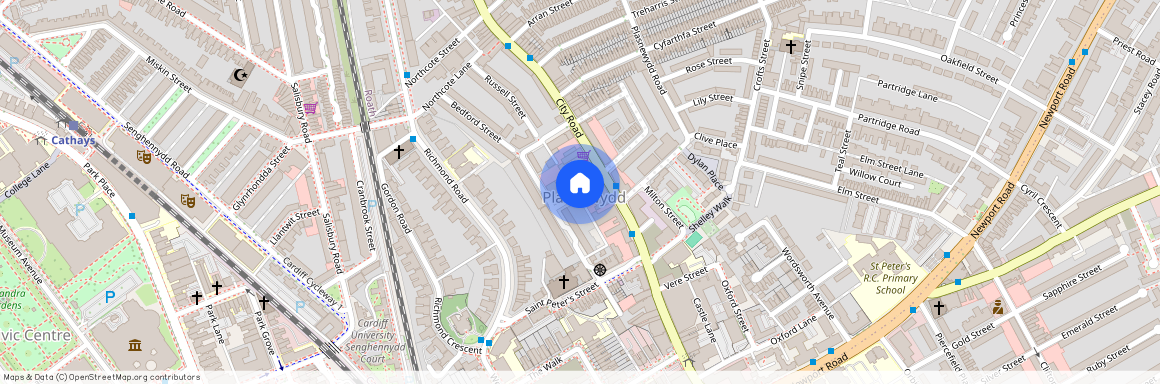 Penlline Street, Cardiff, CF24