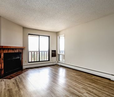 Renovated Suite - 1 Bedroom - Photo 3