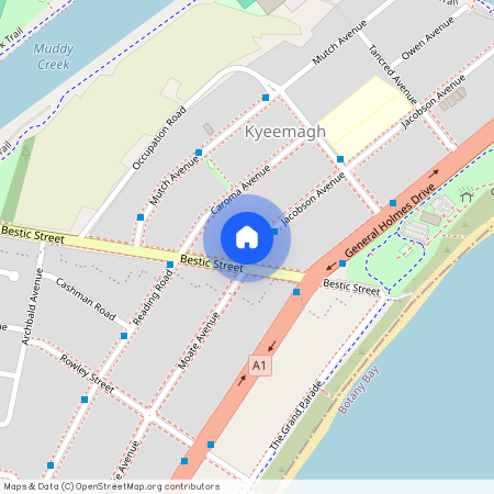 156A Bestic Street, NSW 2216, Kyeemagh