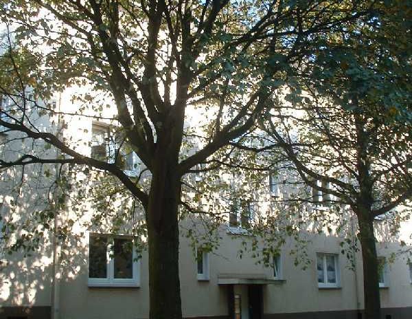 Demnächst frei! 2-Zimmer-Wohnung in Essen Altendorf - Photo 1