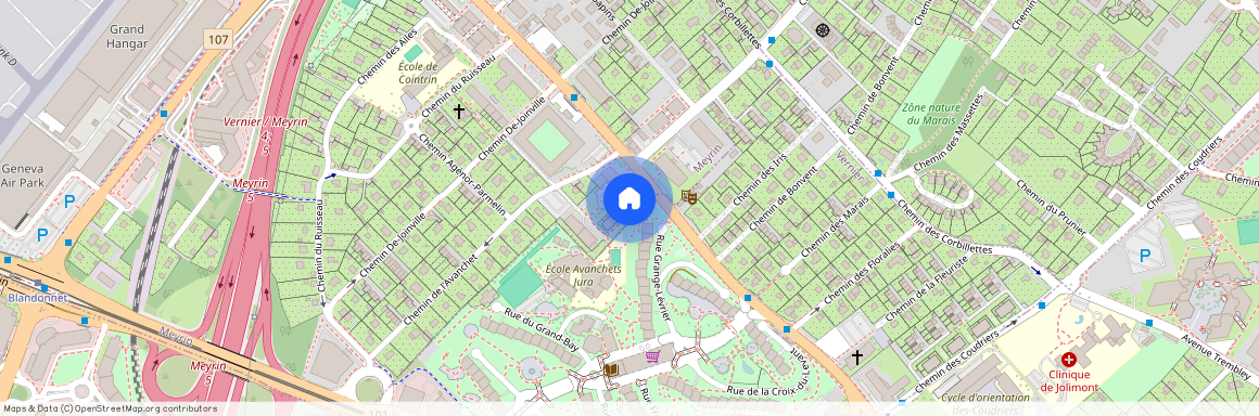 Av, Louis - Casaï 49, 1216 Cointrin