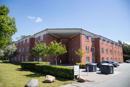 Blegkilde Allé og Danalien - Foto 2