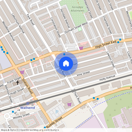 Laurel Street, Wallsend NE28