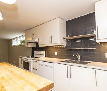 For Lease - 371 Meadowbrook Drive Unit# BASEMENT, Milton, Ontario - Photo 4