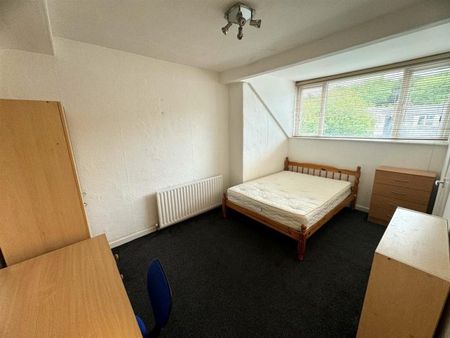 135 Pomona Street, Ecclesall - Photo 4