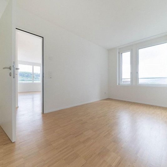 4.5-Zimmer-Wohnung in der Bassbelt-Siedlung - Photo 1