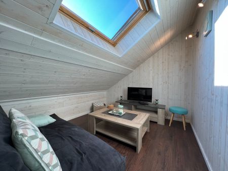 Location Appartement 1 pièce 18m² AIX LES BAINS 73100 - Photo 2