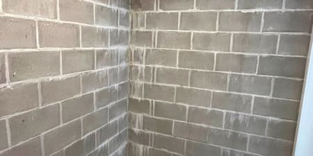 Appartement te huur in Wevelgem voor € 835 met 2 slaapkamers - Foto 5