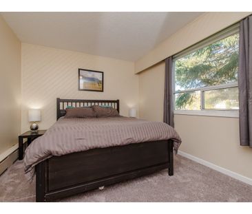 Rancher Home in Peaceful Neighbourhood - Photo 4