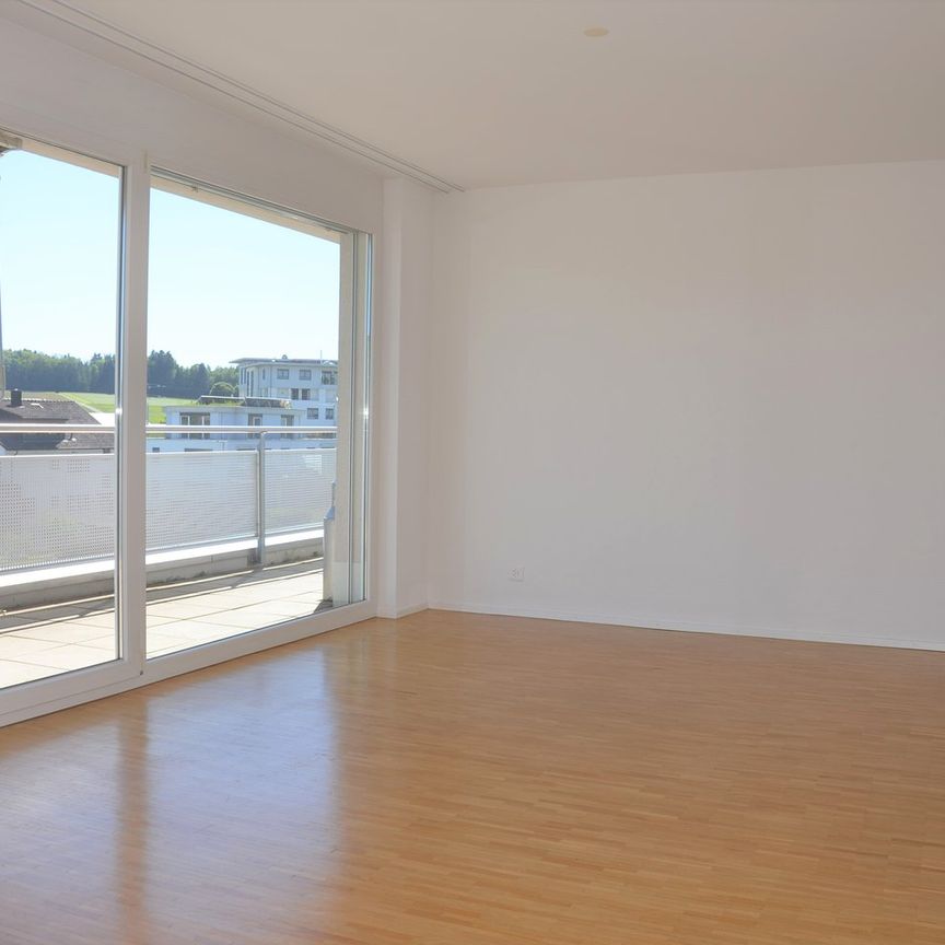 "grosszügige, moderne 2.5-Zimmer-Attika-Wohnung mit grosser Dachterrasse" - Photo 1