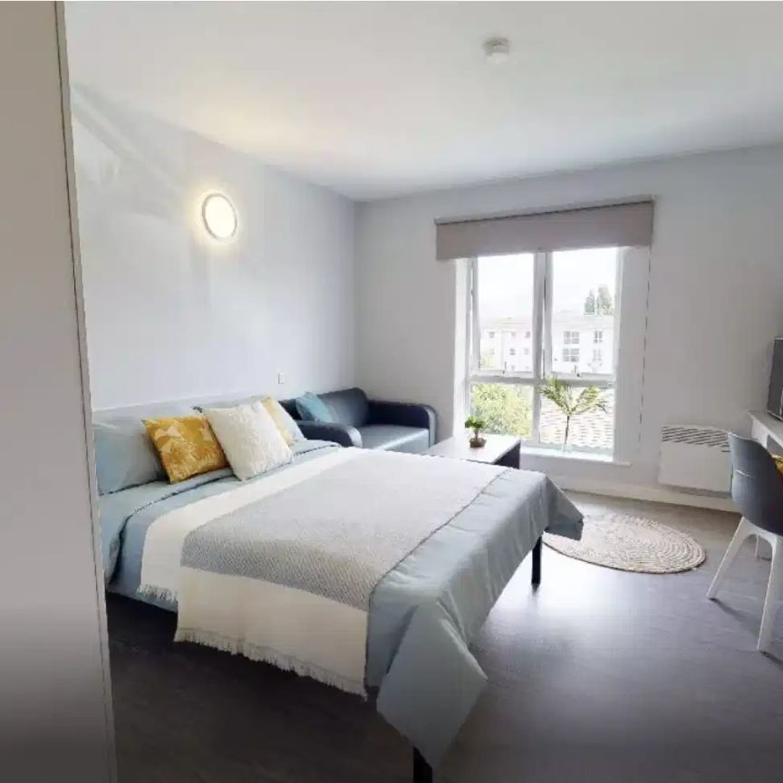 Gold Mini Studio - Photo 1